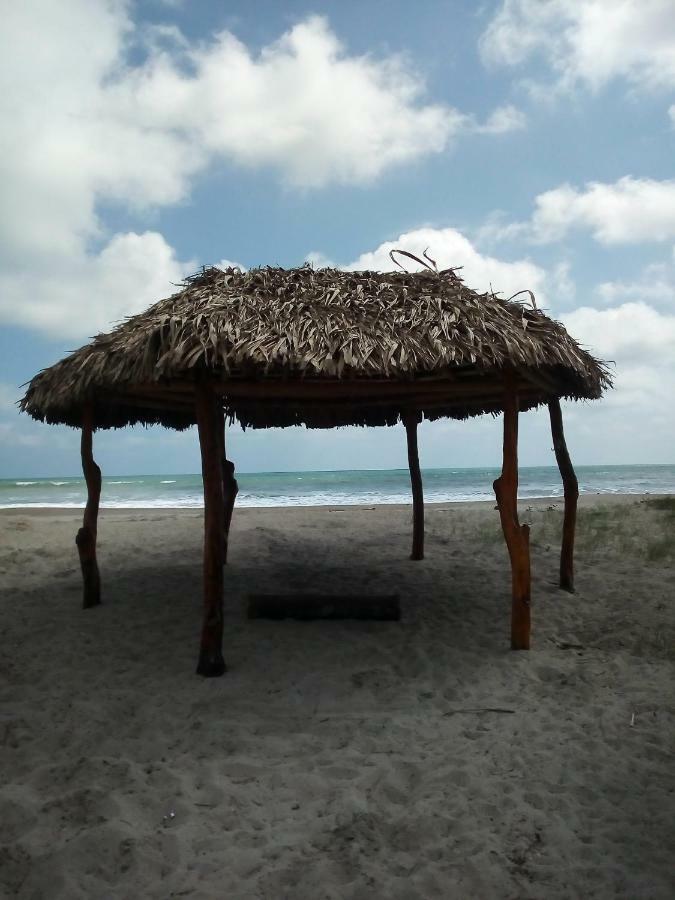 Jardin Pacifico Hotel Canoa Luaran gambar